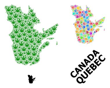 Quebec Eyaleti 'nin Vektör Mozaik Haritası Psikedelik ve Yeşil kenevir Yaprakları ve Katı Harita