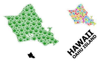Renkli ve Yeşil Baldıran Yaprakları ve Katı Harita Oahu Adasının Vektör Mozaik Haritası