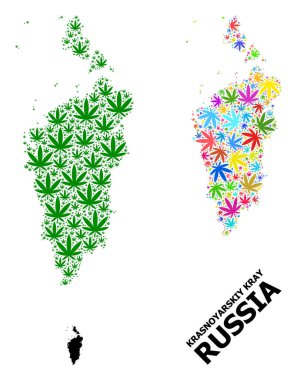 Psikedelik ve Yeşil kenevir yaprakları ve Krasnoyarskiy Kray Vektör Mozaik Haritası