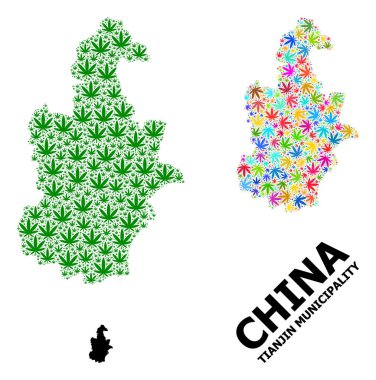 Tianjin Belediyesinin Vektör Mozaik Haritası Parlak ve Yeşil Ot Yaprakları ve Katı Harita