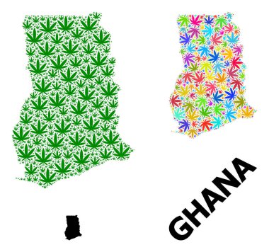 Renkli ve Yeşil Kenevir Yaprakları ve Kolaçan Haritası