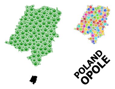 Opole Eyaletinin Parlak ve Yeşil Marihuana Yaprakları ve Kolaçan Haritası