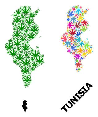Renkli ve Yeşil Ot Yaprakları Tunus 'un Vektör Kolajı Haritası ve Katı Harita