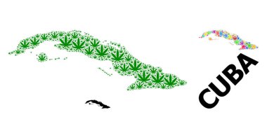 Psikedelik ve Yeşil Kenevir Yaprakları Küba 'nın Vektör Kolajı Haritası