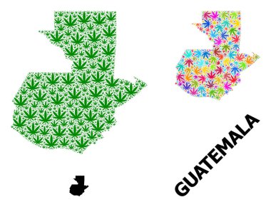 Parlak ve Yeşil Kenevir Yaprakları ve Kolaçan Haritası