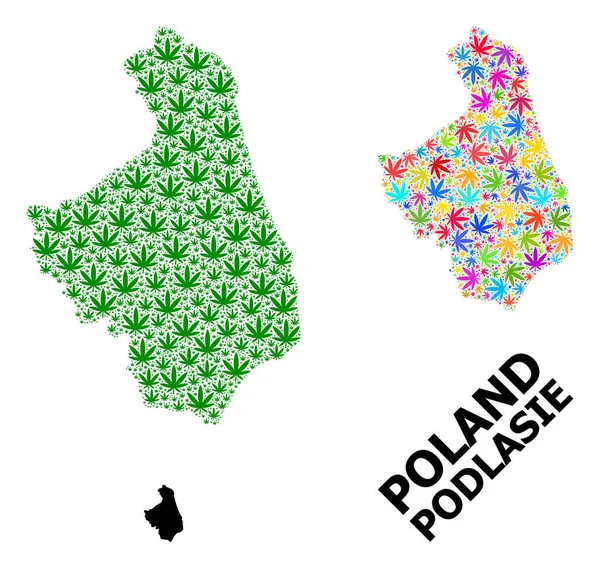 Vektorcollage-Karte der Provinz Podlasie mit psychedelischen und grünen Hanfblättern und solider Karte — Stockvektor