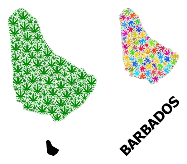 Vektor-Mosaik-Karte von Barbados mit hellen und grünen Marihuana-Blättern und solider Landkarte — Stockvektor