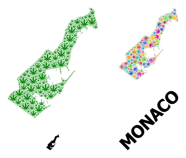 Vektor Mosaik Karta över Monaco av färgade och gröna Cannabis blad och Solid Map — Stock vektor