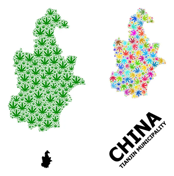 Vector Mosaic Map of Tianjin Municipality of Bright and Green Weed Leaves and Solid Map — 스톡 벡터