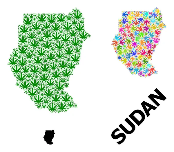 Vektor-Collage-Karte des Sudan aus farbigen und grünen Hanfblättern und solider Karte — Stockvektor