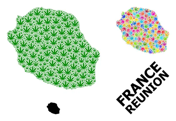 Vector Collage Mapa de Reunión Isla de color verde y hojas de cannabis y mapa sólido — Archivo Imágenes Vectoriales