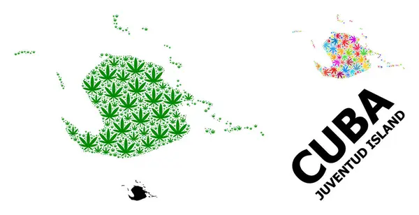 Mapa Vector Collage de la Isla Juventud de Hojas de Cannabis Brillantes y Verdes y Mapa Sólido — Vector de stock
