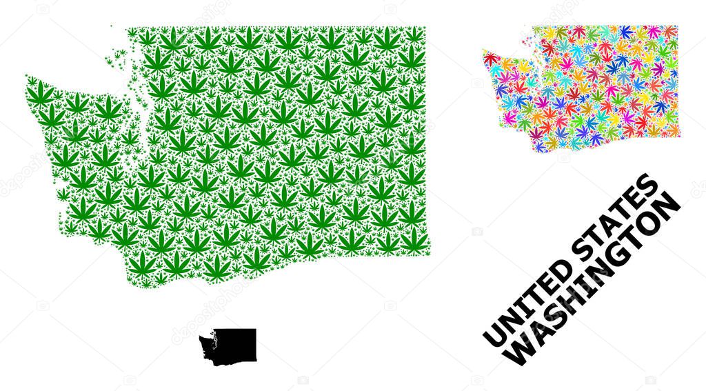 Vector Collage Map of Washington State of Colored and Green Hemp Leaves and Solid Map