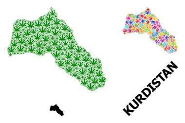 Kürdistan 'ın Parlak ve Yeşil Marihuana Yaprakları ve Kolaçan Haritası