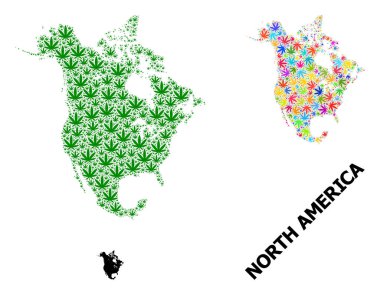 Kuzey Amerika 'nın Psikedelik ve Yeşil Baldıran Yaprakları ve Kolaçan Haritası