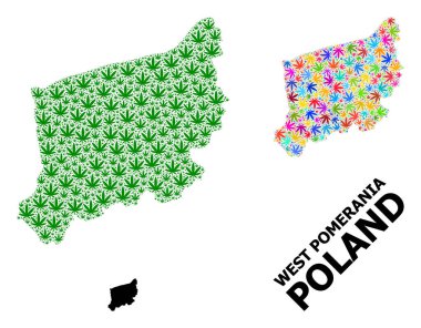 Batı Pomerania Eyaletinin Vektör Kolajı Renkli ve Yeşil Marihuana Yaprakları ve Katı Haritası