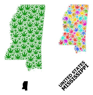 Mississippi Eyaleti Renkli ve Yeşil Marihuana Yaprakları ve Kolaj Haritası