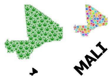 Renkli ve Yeşil Ot Yaprakları Mali Vektör Kolajı Haritası