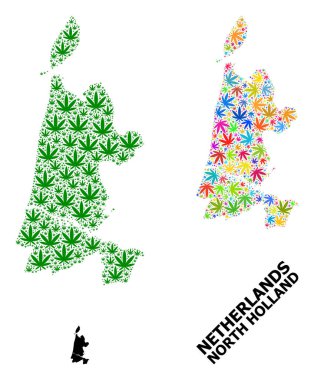 Kuzey Hollanda Psikedelik ve Yeşil Kenevir Yaprakları ve Katı Haritası Vektör Mozaik Haritası
