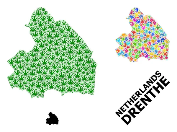 Drenthe Parlak ve Yeşil Kenevir Yaprakları ve Kolaçan Haritası