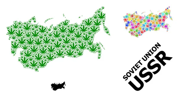 Vector Collage Mapa de la URSS de hojas de cannabis psicodélico y verde y mapa sólido — Vector de stock