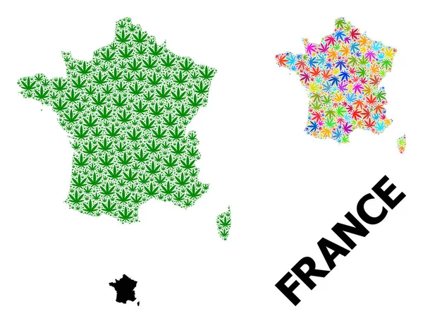 Vector Mosaic Map of France of Psychedelic and Green Marijuana Φύλλα και Συμπαγής Χάρτης — Διανυσματικό Αρχείο