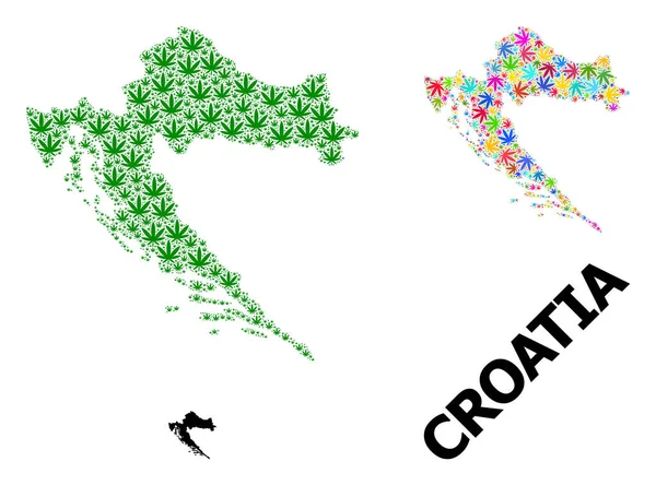 Vektorcollage-Karte von Kroatien aus farbigen und grünen Hanfblättern und solider Landkarte — Stockvektor