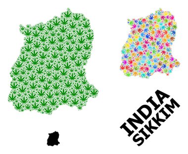 Sikkim 'in Renkli ve Yeşil Kenevir Yaprakları ve Katı Haritası Vektör Mozaik Haritası