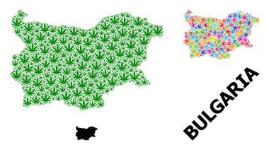 Bulgaristan 'ın Parlak ve Yeşil Kenevir Yaprakları ve Somut Haritası Vektör Kolajı