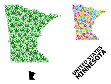 Minnesota Eyaleti Vektör Mozaik Haritası ve Yeşil Marihuana Yaprakları ve Katı Harita