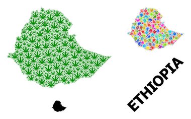 Renkli ve Yeşil Hemp Yaprakları Etiyopya Vektör Kolajı Haritası ve Katı Harita