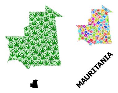 Moritanya 'nın Renkli ve Yeşil Marihuana Yaprakları ve Kolaj Haritası