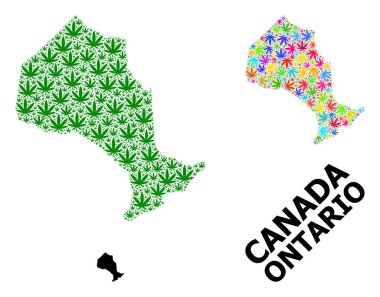 Ontario 'nun Renkli ve Yeşil Kenevir Yaprakları ve Katı Haritası Vektör Mozaik Haritası