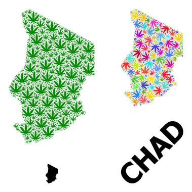 Parlak ve Yeşil Kenevir Yaprakları ve Kolaçan Haritası