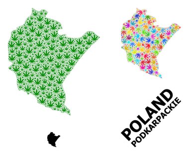 Podkarpackie Eyaletinin Vektör Mozaik Haritası Parlak ve Yeşil Esrar Yaprakları ve Solid Haritası