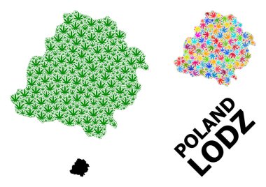 Lodz Eyaletinin Vektör Kolajı Parlak ve Yeşil Ot Yaprakları ve Katı Haritası