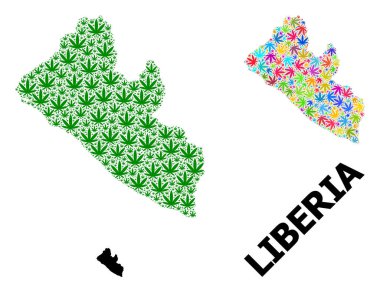 Liberya 'nın Parlak ve Yeşil Ot Yaprakları ve Kolaçan Haritası