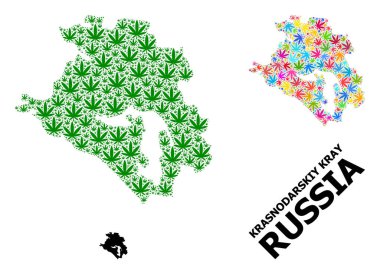 Renkli ve Yeşil Kenevir Yaprakları ve Krasnodarskiy Kray Vektör Kolajı Haritası