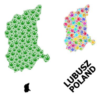 Lubusz 'un Renkli ve Yeşil Kenevir Yaprakları ve Kolaj Haritası