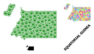 Renkli ve Yeşil Marihuana Yaprakları ve Kolaçan Haritası Ekvator Kolajı