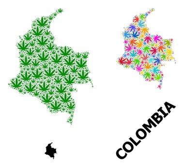 Parlak ve Yeşil Baldıran Yaprakları Kolombiya Vektör Kolajı Haritası