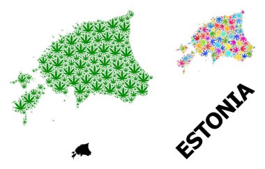 Estonya 'nın Parlak ve Yeşil Marihuana Yaprakları ve Kolaçan Haritası