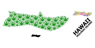 Molokai Renkli ve Yeşil Kenevir Yaprakları ve Kolaj Haritası