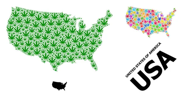 Vector Collage Map of USA of Colorful and Green Weed Leaves and Solid Map — 스톡 벡터