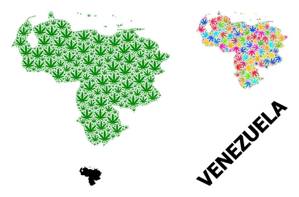 Vector Collage Map of Venezuela of Bright and Green Cannabis Leaves and Solid Map — стоковий вектор