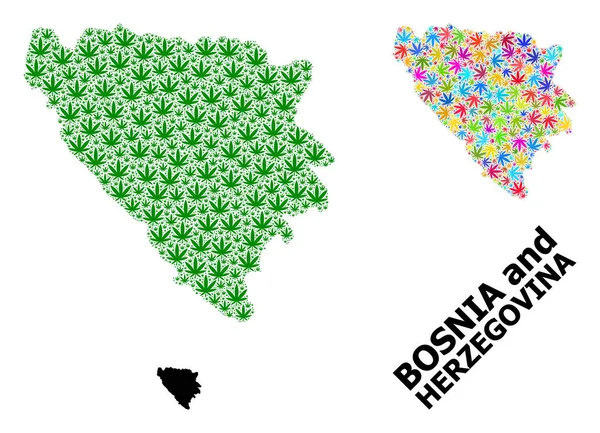 Bosna-Hersek 'in Renkli ve Yeşil Ot Yaprakları ve Somut Haritası Vektör Mozaik Haritası