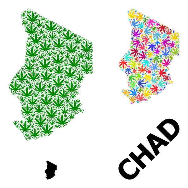 Parlak ve Yeşil Kenevir Yaprakları ve Kolaçan Haritası