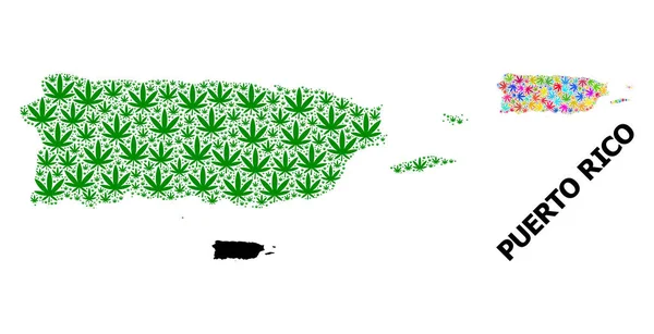 Vector Collage Mapa de Porto Rico de folhas de maconha psicodélicas e verdes e Mapa Sólido —  Vetores de Stock