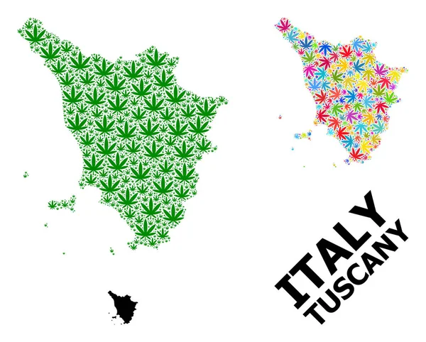 Vektorcollage-Karte der Toskana mit psychedelischen und grünen Hanfblättern und solider Landkarte — Stockvektor
