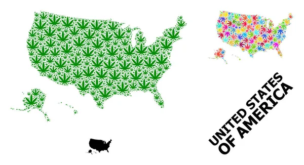 Vector Mosaic Map of USA Territories of Psychedelic and Green Hemp Leaves and Solid Map — 스톡 벡터